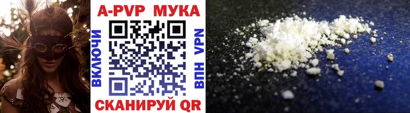 OMG ТОР  Шилка  A PVP крисы CK  сколько стоит 