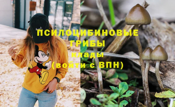 мескалин Балахна