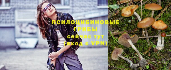 стафф Белоозёрский