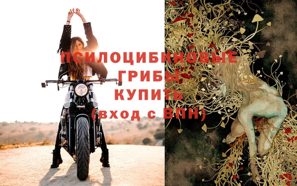 бутират Белокуриха