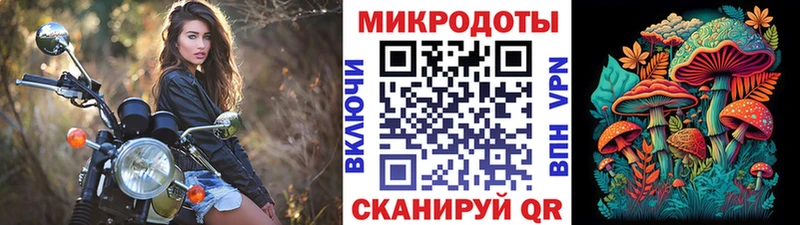 Псилоцибиновые грибы MAGIC MUSHROOMS  Шилка 